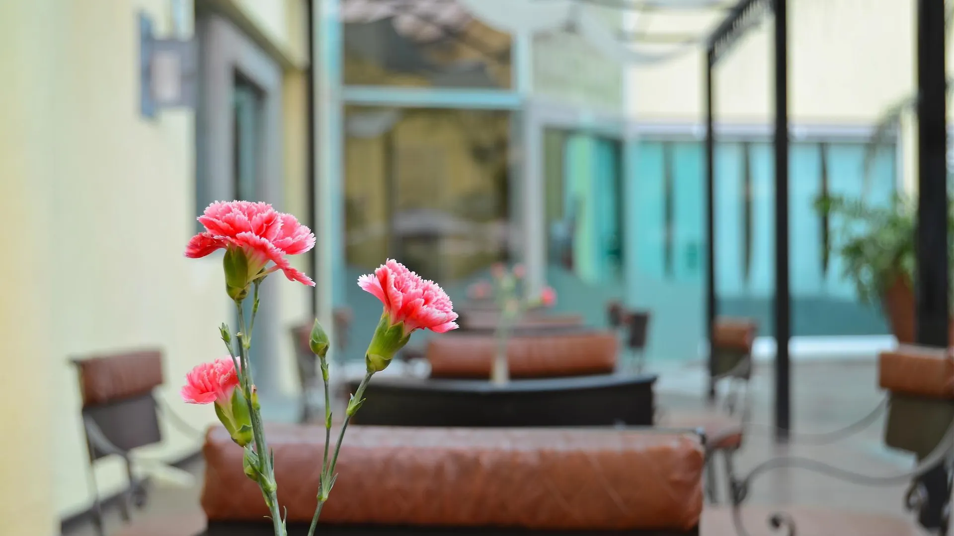 Hotel Plaza Poblana Heroica Puebla de Zaragoza